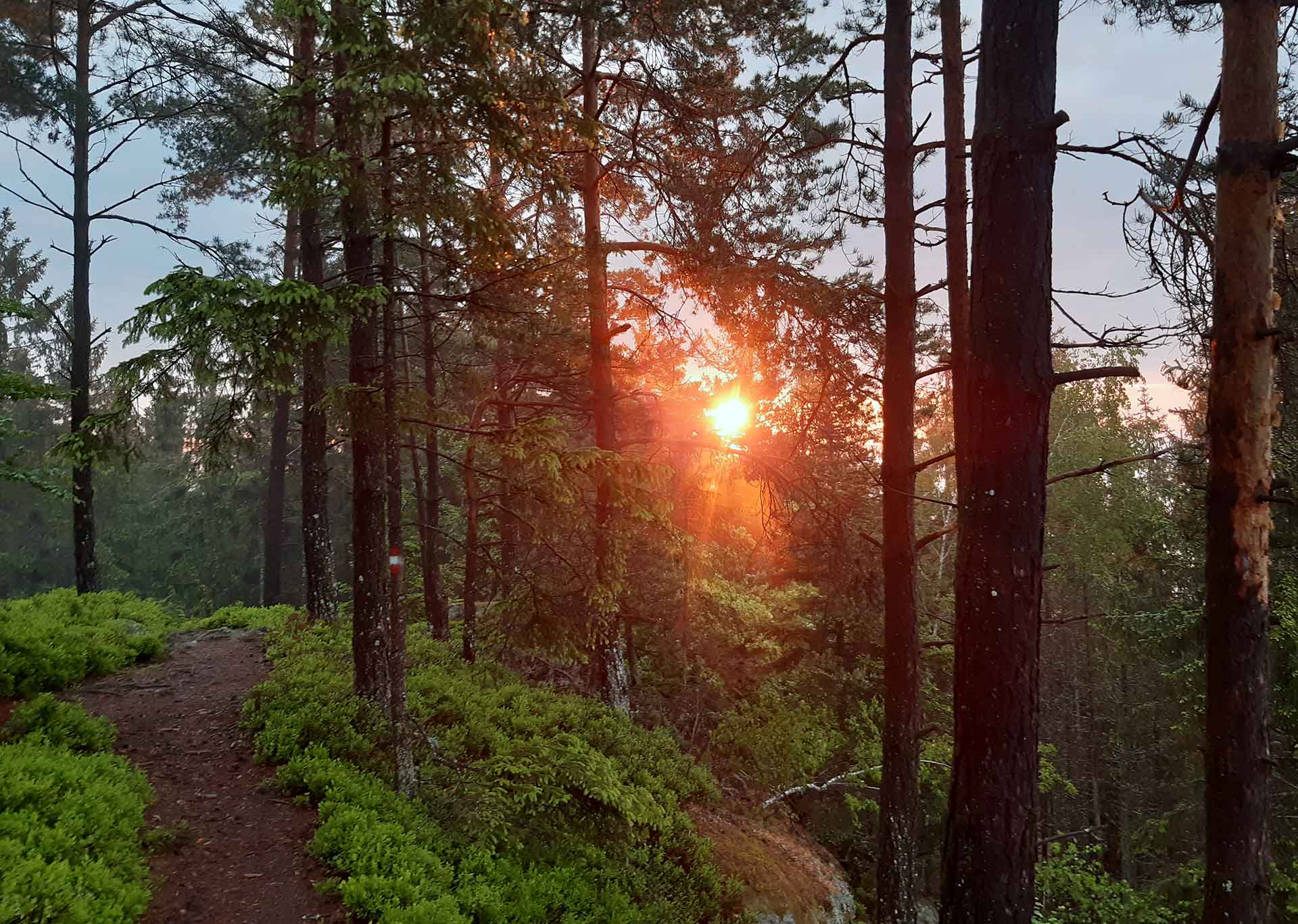 Sich auf den Weg machen… Morning Prayer